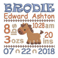 Baby birth announcement -custom embroidery design by sweetstitchdesign.com