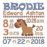 Baby birth announcement -custom embroidery design by sweetstitchdesign.com