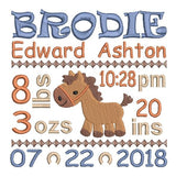 Baby birth announcement -custom embroidery design by sweetstitchdesign.com