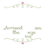 Baby birth announcement template machine embroidery design by sweetstitchdesign.com