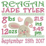 Baby birth announcement template machine embroidery design by sweetstitchdesign.com